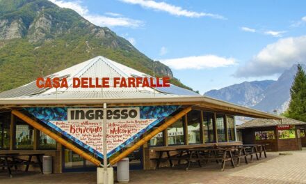 “ALI ALLA BIODIVERSITÀ”: LE SERRE TROPICALI DELLA CASA DELLE FARFALLE DI BORDANO RIAPRONO IL 14 MARZO 2026