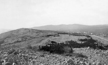 SABATO 28 MARZO PASSEGGIATA NEI BOSCHI NARRANTI DI BASOVIZZA