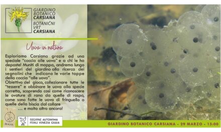 Uova in natura al Giardino botanico Carsiana