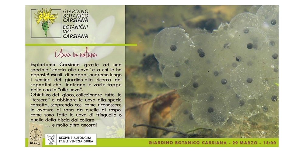 Uova in natura al Giardino botanico Carsiana