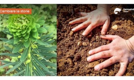 A FAGAGNA arriva la FESTA DI PRIMAVERA