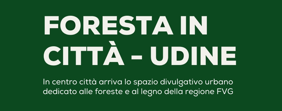 A UDINE nasce “FORESTA IN CITTÀ”