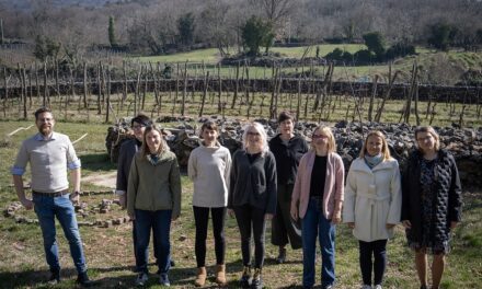 GAL CARSO – PROGETTO INTERREG ITA-SLO “KRAS 4 US”: RIUNITI A SGONICO I PARTNER DI PROGETTO PER LA DEFINIZIONE DELLA STRATEGIA CONDIVISA SUL CARSO COME LABORATORIO DI COOPERAZIONE TRANSFRONTALIERA