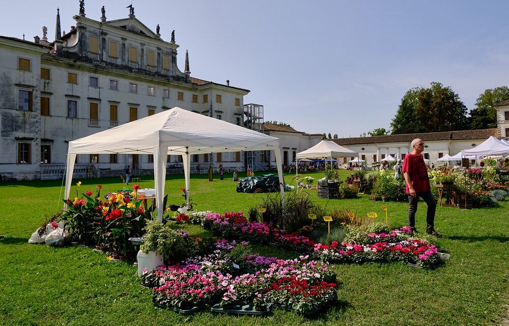 RITORNA LA PRIMAVERA A VILLA MANIN: SABATO 21 E DOMENICA 22 MARZO LA XXII EDIZIONE DELLA RASSEGNA “NEL GIARDINO DEL DOGE MANIN”