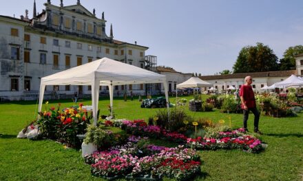 RITORNA LA PRIMAVERA A VILLA MANIN: SABATO 21 E DOMENICA 22 MARZO LA XXII EDIZIONE DELLA RASSEGNA “NEL GIARDINO DEL DOGE MANIN”