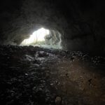 “Passeggiando si impara 2026”: primo incontro in occasioni delle manifestazione per “Carlo Marchesetti, un anno di eventi per i 100 anni dalla morte”