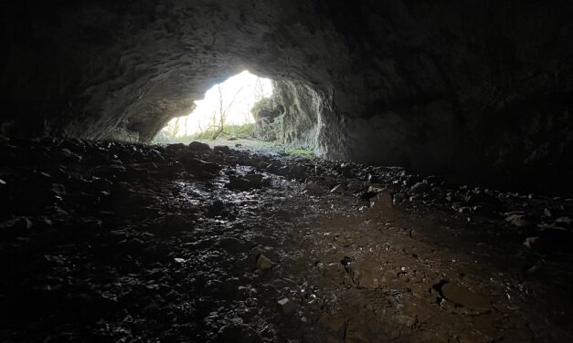 “Passeggiando si impara 2026”: primo incontro in occasioni delle manifestazione per “Carlo Marchesetti, un anno di eventi per i 100 anni dalla morte”