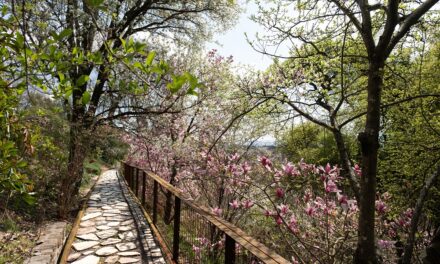 Il Giardino Viatori riapre il 29 marzo: natura, cultura e nuove esperienze per il 2026