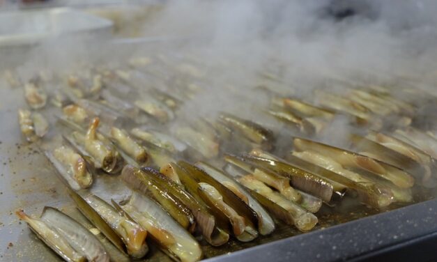 La “Festa delle Cape” apre ufficialmente la stagione turistica di Lignano Pineta tra gusto e solidarietà