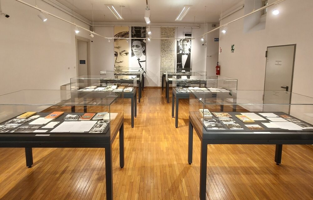 Visita guidata alla mostra “Dove. Il mondo di Stelio Mattioni (1921-1997)” presso la Biblioteca statale Stelio Crise