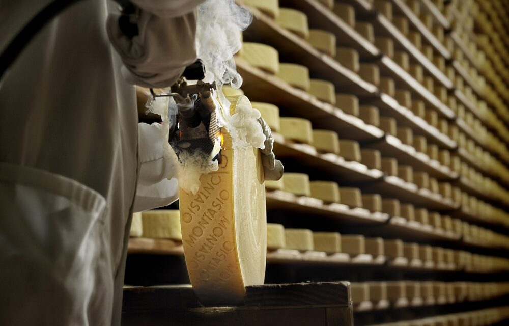 IL MONTASIO DOP, UN PATRIMONIO DA TRAMANDARE ALLE NUOVE GENERAZIONI