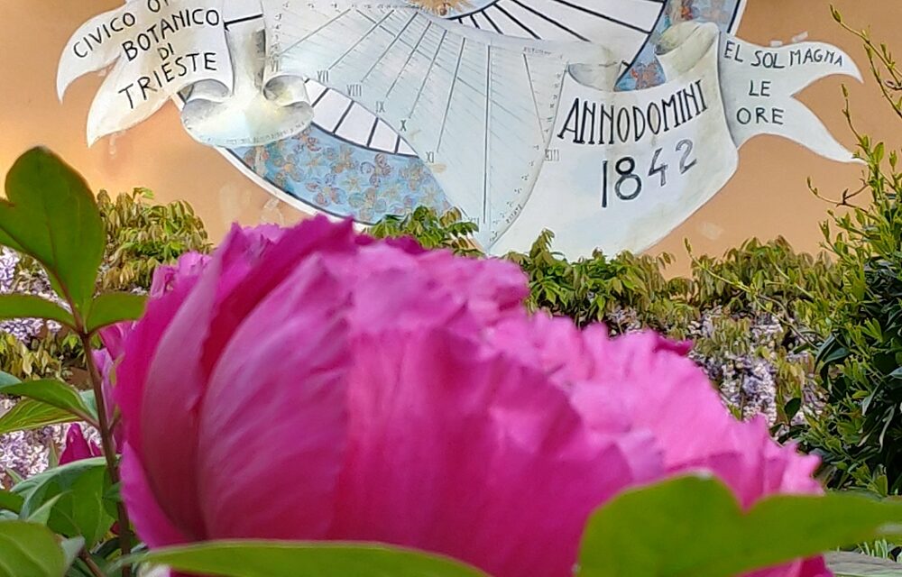 DAL 3 APRILE RIAPRE L’ORTO BOTANICO: UN’OCCASIONE PER SCOPRIRE LA BIODIVERSITÀ E LASCIARSI INCANTARE DALLA NATURA PRIMAVERILE