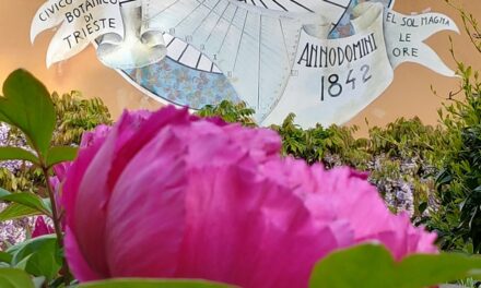 DAL 3 APRILE RIAPRE L’ORTO BOTANICO: UN’OCCASIONE PER SCOPRIRE LA BIODIVERSITÀ E LASCIARSI INCANTARE DALLA NATURA PRIMAVERILE