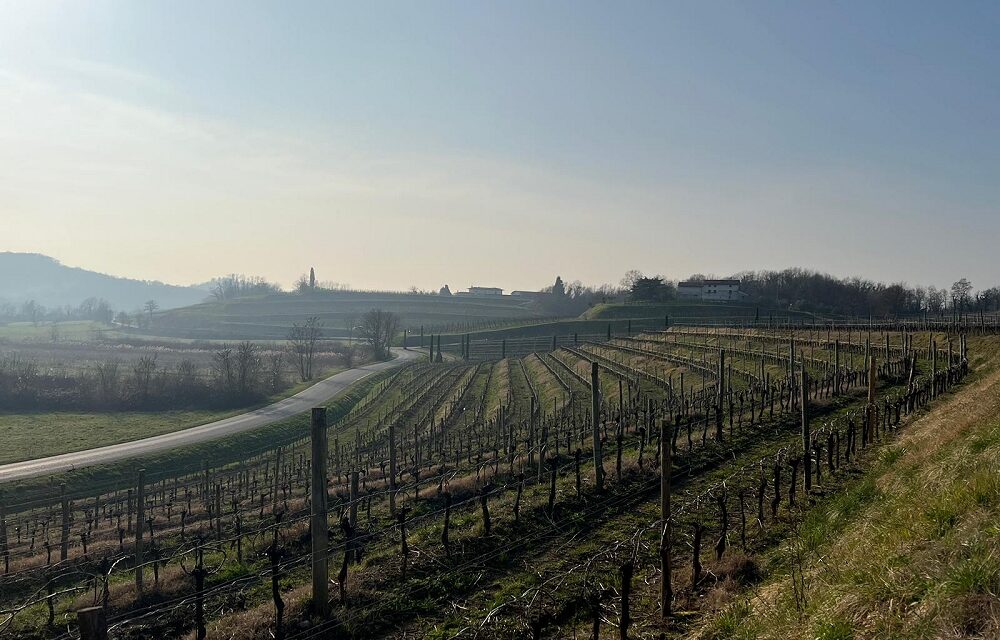 “Storie di sconfinamenti. Diari in bicicletta”: pedalata teatralizzata tra le vigne e i colli