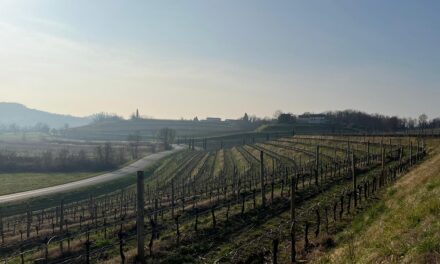 “Storie di sconfinamenti. Diari in bicicletta”: pedalata teatralizzata tra le vigne e i colli