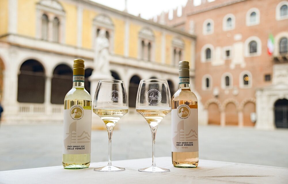 IL PINOT GRIGIO DOC DELLE VENEZIE È OFFICIAL WINE DEL GIRO D’ITALIA 2026