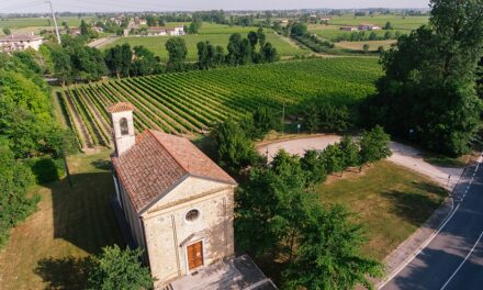 LA PRIMAVERA DI STAJNBECH HA I COLORI DEL SOLE