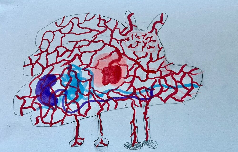 TEATRO IMMERSIVO, DEBUTTA A FAGAGNA “SOTTO LA PELLE DEL MONDO”