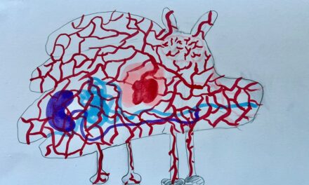 TEATRO IMMERSIVO, DEBUTTA A FAGAGNA “SOTTO LA PELLE DEL MONDO”