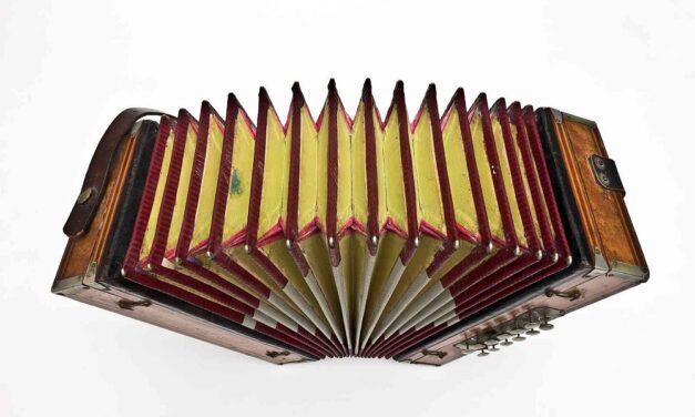 MERCOLEDÌ 11 MARZO ALLE ORE 17.30 AL CIVICO MUSEO TEATRALE “CARLO SCHMIDL” SECONDO APPUNTAMENTO DELL’EDIZIONE PRIMAVERA 2026 DEL CICLO “LE STANZE DELLA MUSICA” DEDICATO ALLA FISARMONICA