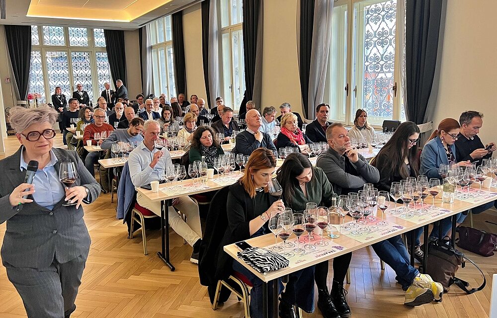 TERANUM E I VINI ROSSI DEL CARSO – presente e memoria nel calice: degustazione verticale con quattro vignaioli