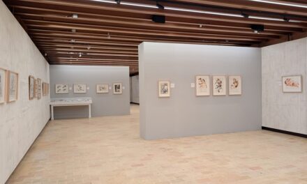 ERPAC – VILLA MANIN: OLTRE 13 MILA VISITATORI A “INTONARE LA REALTÀ”, DEDICATA E RENZO TUBARO