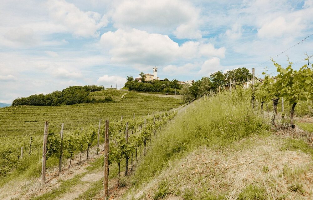 VIGNETI APERTI, TORNA IL VIAGGIO ALLA SCOPERTA DEL TERRITORIO TRA NATURA, TRADIZIONI E CANTINE