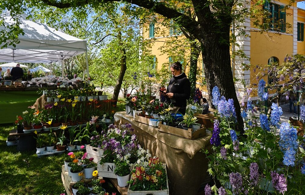 SABATO 18 E DOMENICA 19 APRILE LA XX EDIZIONE DI HORTI TERGESTINI, LA MOSTRA DI PIANTE E ARREDI PER IL GIARDINO ORGANIZZATA DALLA COOPERATIVA AGRICOLA MONTE SAN PANTALEONE