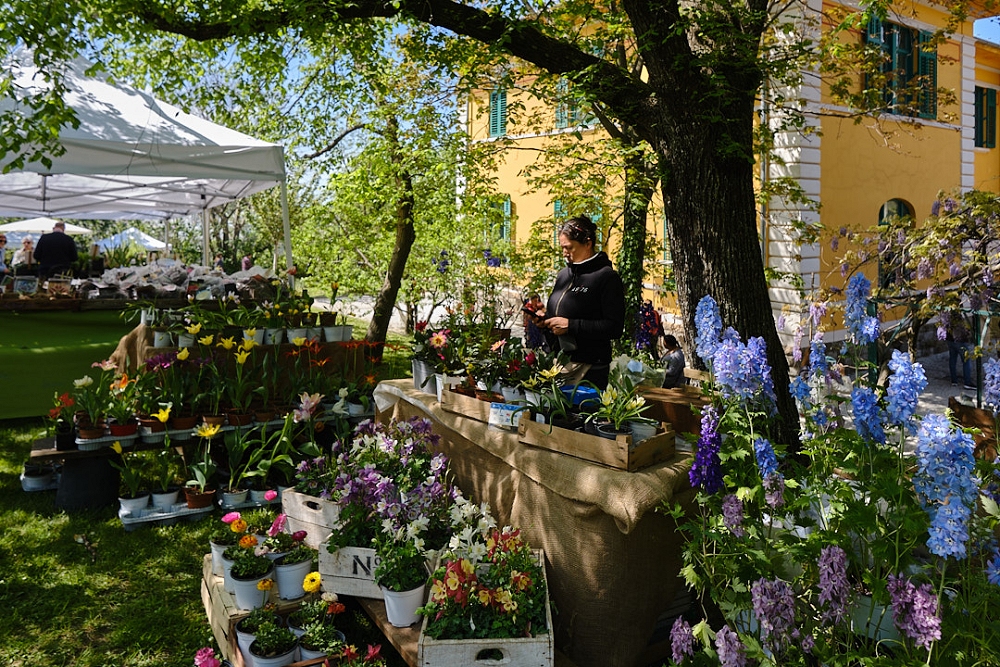 SABATO 18 E DOMENICA 19 APRILE LA XX EDIZIONE DI HORTI TERGESTINI, LA MOSTRA DI PIANTE E ARREDI PER IL GIARDINO ORGANIZZATA DALLA COOPERATIVA AGRICOLA MONTE SAN PANTALEONE
