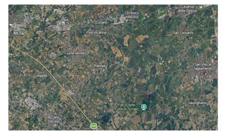 Confagricoltura Fvg: il ruolo dell’agricoltura nel governo del territorio