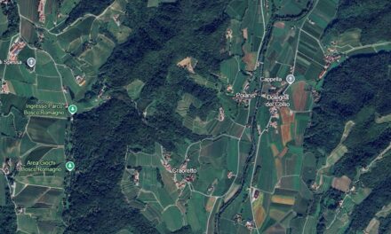 Confagricoltura Fvg: il ruolo dell’agricoltura nel governo del territorio