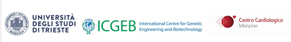 Quando il battito protegge: così il cuore frena i tumori