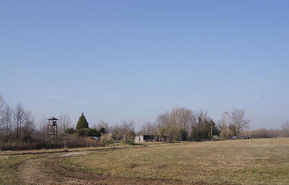 FEDERSANITA ANCI FVG e COMUNE BERTIOLO: DUE INCONTRI IN OCCASIONE DELLA SETTIMANA della SALUTE