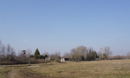 FEDERSANITA ANCI FVG e COMUNE BERTIOLO: DUE INCONTRI IN OCCASIONE DELLA SETTIMANA della SALUTE