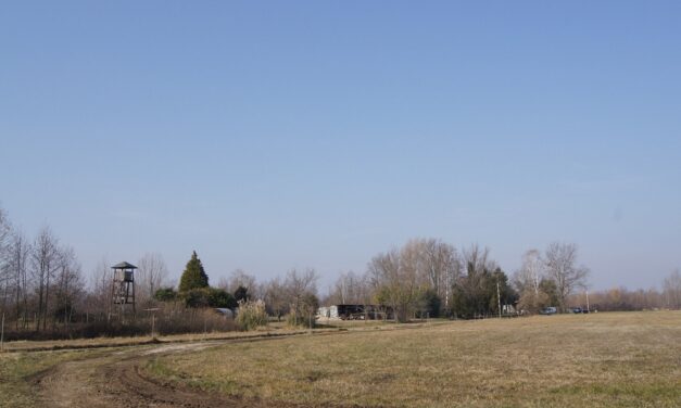 FEDERSANITA ANCI FVG e COMUNE BERTIOLO: DUE INCONTRI IN OCCASIONE DELLA SETTIMANA della SALUTE