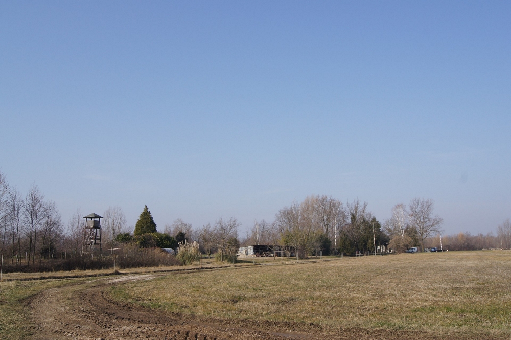 FEDERSANITA ANCI FVG e COMUNE BERTIOLO: DUE INCONTRI IN OCCASIONE DELLA SETTIMANA della SALUTE
