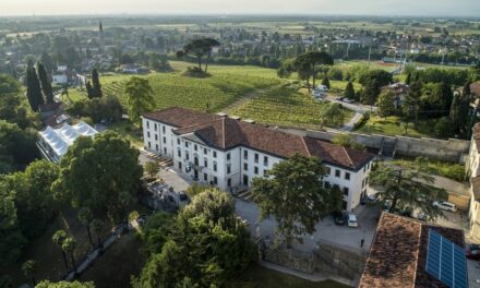 Buttrio entra nella rete internazionale Tree Cities of the World