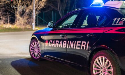 Intervento “lampo” dei Carabinieri che salvano un’anziana in pericolo