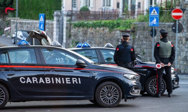 Servizi coordinati svolti nel weekend delle festività Pasquali dai Carabinieri di Trieste