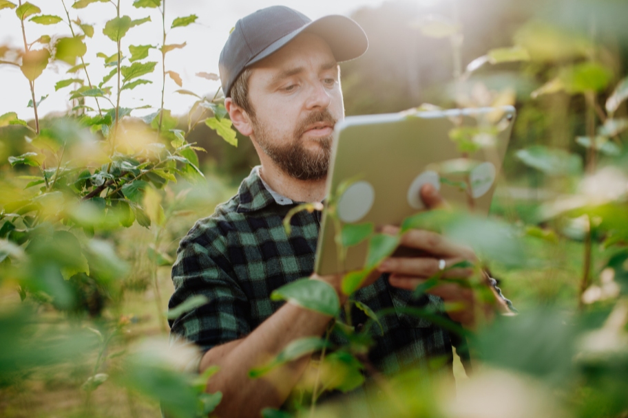 Agricoltura 4.0: il CeFAP forma i “Tecnici Smart Farming”