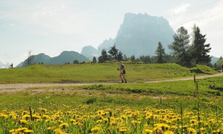 Dolomiti Women’s Trail with FUGA Mountain Club: il trail running al femminile tra le Dolomiti della Val di Zoldo