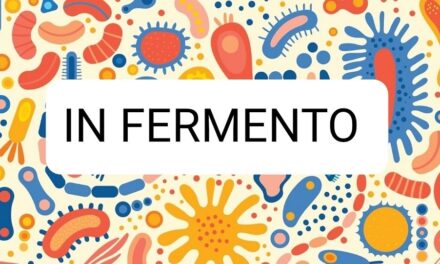 CICLO DI INCONTRI N FERMENTO: quinto appuntamento con il mondo dei fermentati