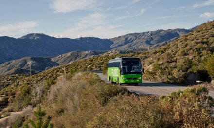 Trieste: FlixBus potenzia il servizio per l’estate