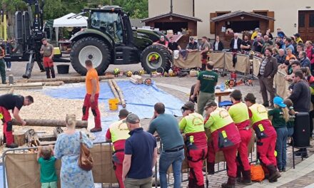 Cluster Arredo / Cluster forestale FVG, al via “Foresta in valle 2026”: presentata 4° edizione in Regione