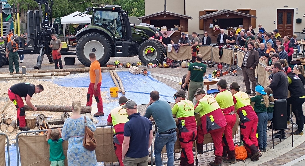 Cluster Arredo / Cluster forestale FVG, al via “Foresta in valle 2026”: presentata 4° edizione in Regione