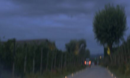 MAYA: l’ontologia del visibile e la materia del tempo nel progetto fotografico di Rebecca Moccia per Zenato Academy