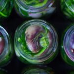 A BARCIS TORNA LA FESTA DEL PESTITH E DEI FERMENTATI