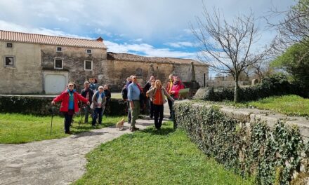 PER “QUANTO VALE UN PETALO?” Curiosi di natura organizza un’escursione nel Carso sloveno tra Sveto e Škrbina (Komen)