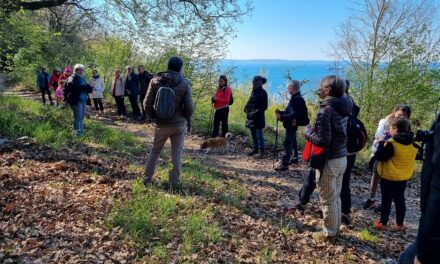 Escursioni “Piacevolmente Carso”: DOMENICA 26 APRILE appuntamento sul ciglione carsico, a Santa Croce (TS)