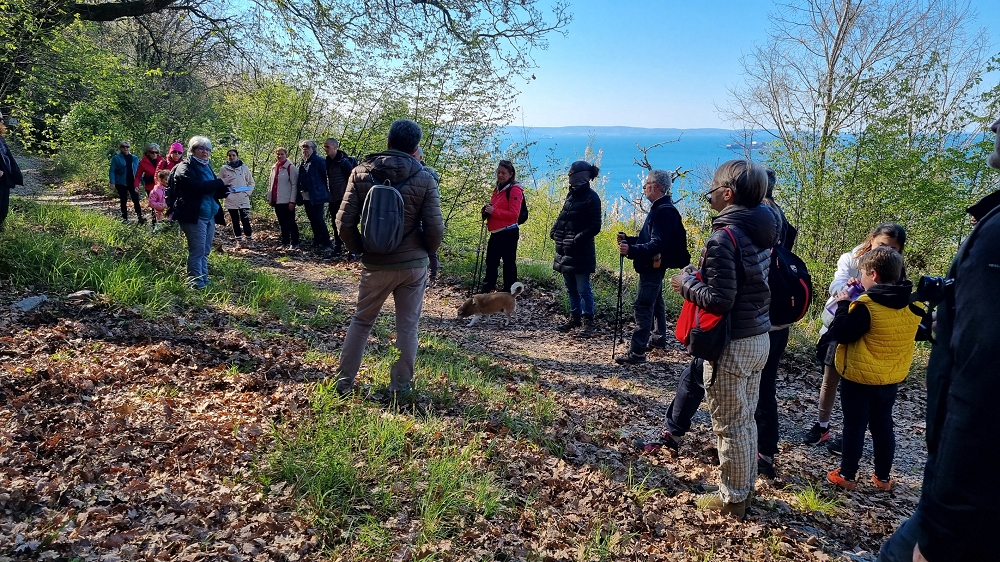 Escursioni “Piacevolmente Carso”: DOMENICA 26 APRILE appuntamento sul ciglione carsico, a Santa Croce (TS)